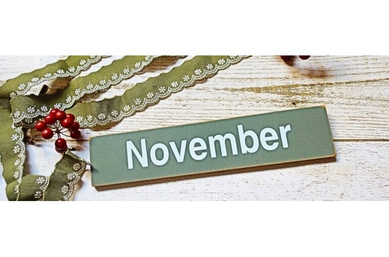 11月